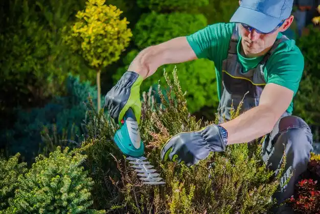 landscaping services Oak Park